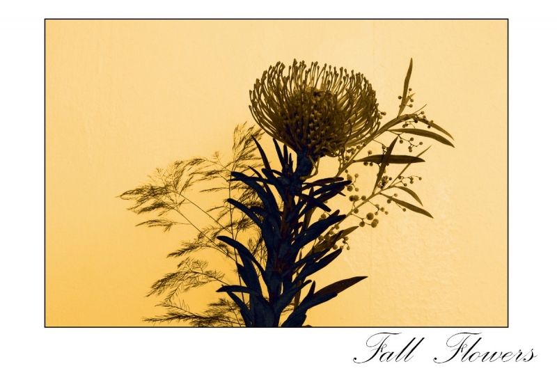 Clicca per l'immagine full size