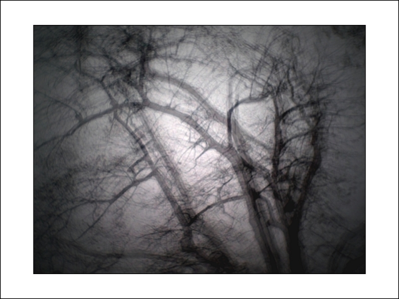 Clicca per l'immagine full size