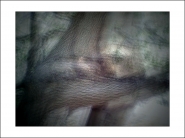 Nome File=baumschlangenbaum.jpg
Dimensione File=222KB
Dimensioni=1200x900
Data aggiunta=Apr 23, 2020 baumschlangenbaum.jpg