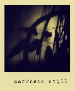 darknessstill.jpg
