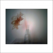 Nome File=diedürreblume.jpg
Dimensione File=110KB
Dimensioni=1200x1200
Data aggiunta=Feb 18, 2020 diedürreblume.jpg