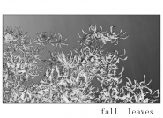 Nome File=fallleaves~0.jpg
Dimensione File=282KB
Dimensioni=1100x800
Data aggiunta=Feb 28, 2015 fallleaves~0.jpg