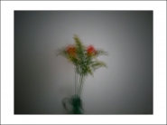 flowers~2.jpg