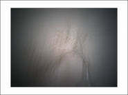 Nome File=grasses2.jpg
Dimensione File=141KB
Dimensioni=1200x900
Data aggiunta=Ago 02, 2019 grasses2.jpg