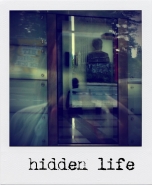 hiddenlife.jpg