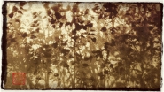 Nome File=hojarasca.jpg
Dimensione File=295KB
Dimensioni=1200x675
Data aggiunta=Mar 30, 2016 hojarasca.jpg