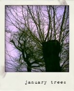 Nome File=januarytrees.jpg
Dimensione File=201KB
Dimensioni=600x729
Data aggiunta=Gen 01, 2011 januarytrees.jpg