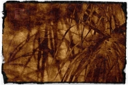 Nome File=lapalmera2.jpg
Dimensione File=250KB
Dimensioni=1000x667
Data aggiunta=Apr 29, 2016 lapalmera2.jpg