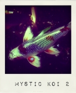 mystickoi2.jpg