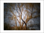 Nome File=parkbaum.jpg
Dimensione File=233KB
Dimensioni=1200x900
Data aggiunta=Giu 20, 2020 parkbaum.jpg