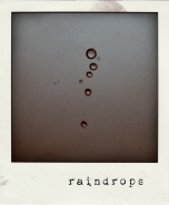 raindrops.jpg