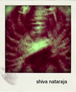 Nome File=shivanataraja.jpg
Dimensione File=128KB
Dimensioni=600x729
Data aggiunta=Lug 03, 2010 shivanataraja.jpg