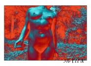Nome File=sibylla.jpg
Dimensione File=463KB
Dimensioni=1100x800
Data aggiunta=Gen 01, 2016 sibylla.jpg