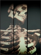 Nome File=skeletonman.jpg
Dimensione File=136KB
Dimensioni=750x1000
Data aggiunta=Set 23, 2017 skeletonman.jpg