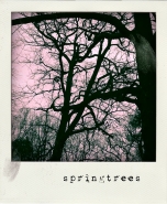 Nome File=springtrees.jpg
Dimensione File=250KB
Dimensioni=600x729
Data aggiunta=Feb 11, 2011 springtrees.jpg