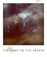 theheadintheclouds.jpg