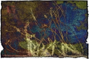 Nome File=theshadowweeds1.jpg
Dimensione File=297KB
Dimensioni=1000x667
Data aggiunta=Apr 13, 2016 theshadowweeds1.jpg