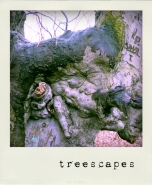 treescapes.jpg