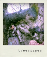 treescapes.jpg treescapes.jpg