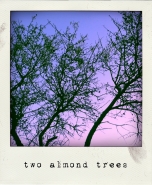 Nome File=twoalmondtrees.jpg
Dimensione File=253KB
Dimensioni=600x729
Data aggiunta=Gen 14, 2011 twoalmondtrees.jpg