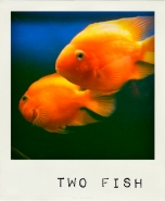 twofish.jpg