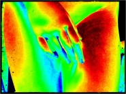 Nome File=venere.jpg
Dimensione File=254KB
Dimensioni=1000x750
Data aggiunta=Ago 19, 2017 venere.jpg