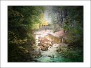 Nome File=waldbach.jpg
Dimensione File=248KB
Dimensioni=1200x900
Data aggiunta=Apr 17, 2020 waldbach.jpg