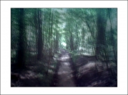 Nome File=waldweg.jpg
Dimensione File=255KB
Dimensioni=1200x900
Data aggiunta=Apr 28, 2020 waldweg.jpg