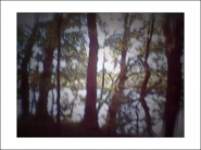 Nome File=watertrees.jpg
Dimensione File=226KB
Dimensioni=1200x900
Data aggiunta=Mag 07, 2019 watertrees.jpg