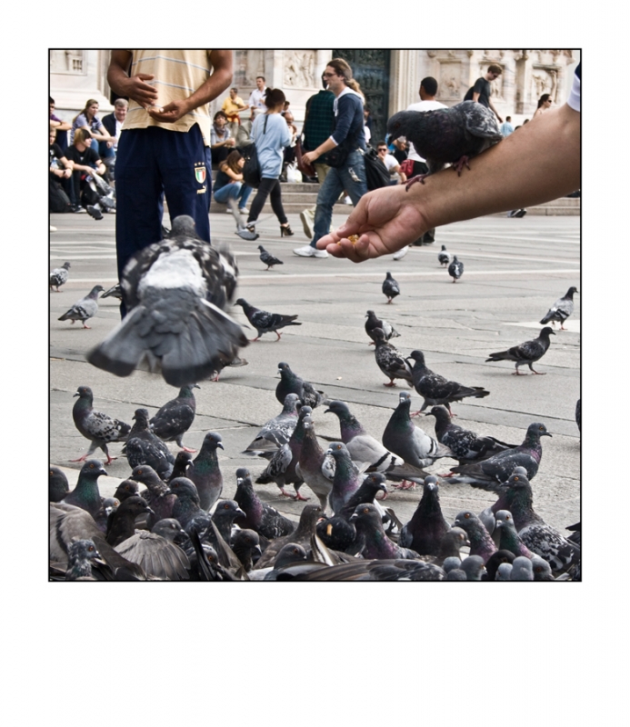 Clicca per l'immagine full size