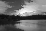 IMG_5848a.jpg