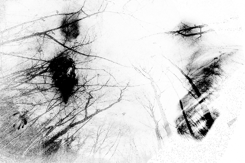 Clicca per l'immagine full size