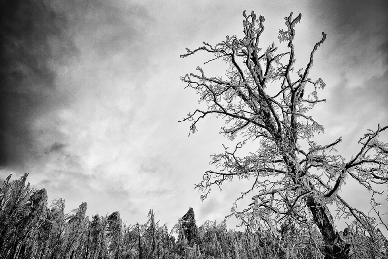 Clicca per l'immagine full size
