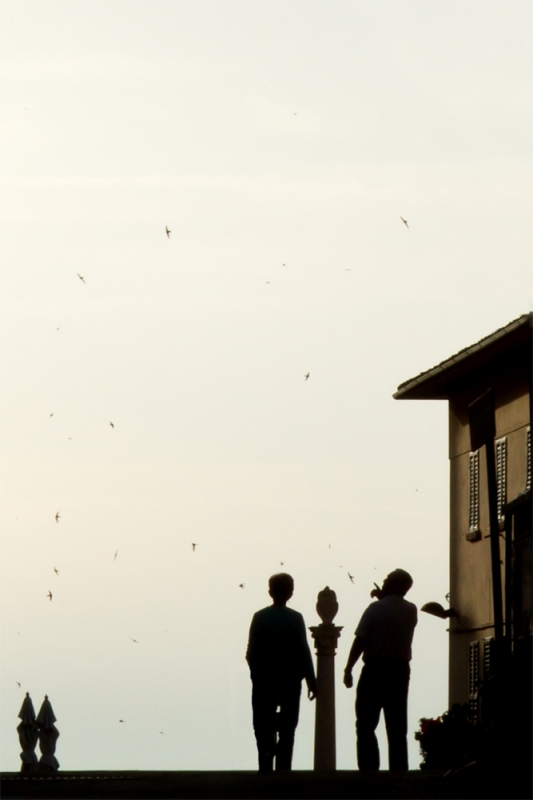 Clicca per l'immagine full size