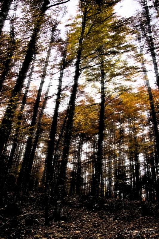 Clicca per l'immagine full size