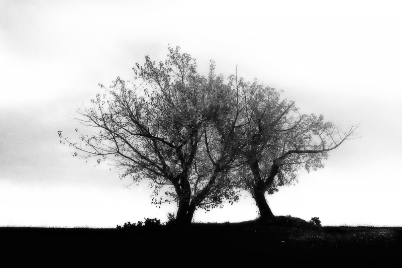 Clicca per l'immagine full size