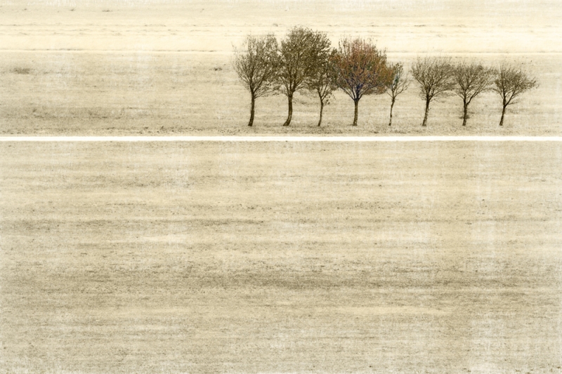 Clicca per l'immagine full size