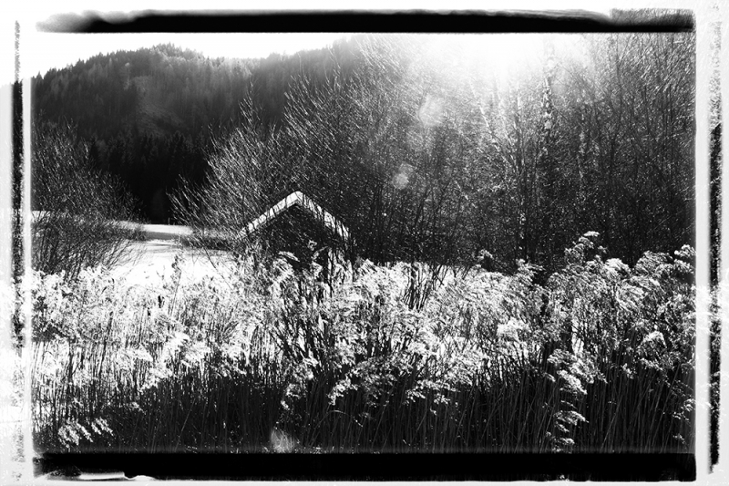Clicca per l'immagine full size