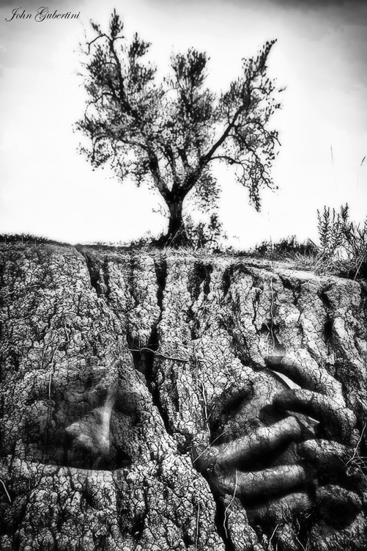 Clicca per l'immagine full size