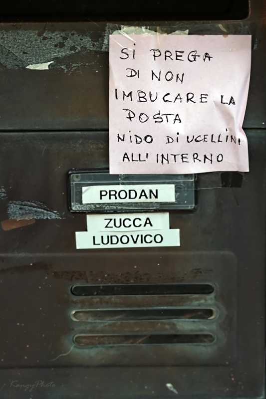 Clicca per l'immagine full size