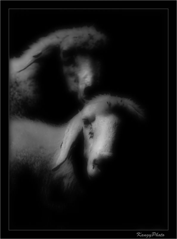 Clicca per l'immagine full size