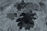 Nome File=A_A_.jpg
Dimensione File=305KB
Dimensioni=1000x667
Data aggiunta=Dic 08, 2010 A_A_.jpg