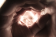 Nome File=A_te____mm_.jpg
Dimensione File=283KB
Dimensioni=1000x667
Data aggiunta=Mag 13, 2021 A_te____mm_.jpg