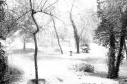 Nome File=D58A2601.jpg
Dimensione File=301KB
Dimensioni=1000x667
Data aggiunta=Apr 05, 2013 D58A2601.jpg