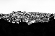 IMG_8351bn.jpg