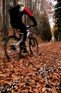 Nome File=bike_riky.jpg
Dimensione File=360KB
Dimensioni=667x1000
Data aggiunta=Ott 18, 2010 bike_riky.jpg