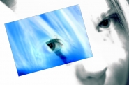 blu.jpg blu.jpg