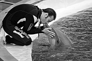 Nome File=dolphin_s_love.jpg
Dimensione File=365KB
Dimensioni=1000x667
Data aggiunta=Apr 25, 2010 dolphin_s_love.jpg