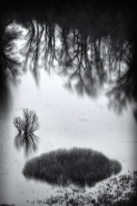 Nome File=il_lago_mm.jpg
Dimensione File=465KB
Dimensioni=667x1001
Data aggiunta=Lug 02, 2020 il_lago_mm.jpg