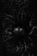 Nome File=mm~29.jpg
Dimensione File=300KB
Dimensioni=667x1001
Data aggiunta=Lug 08, 2019 mm~29.jpg